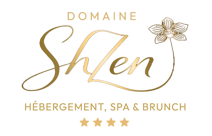 logo shzen