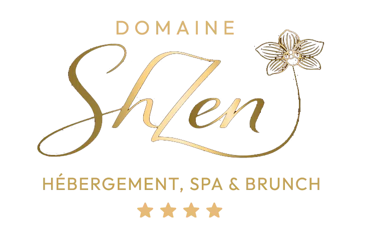 logo shzen